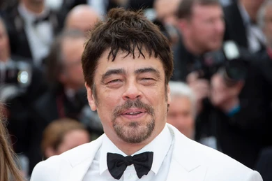 Benicio del Toro