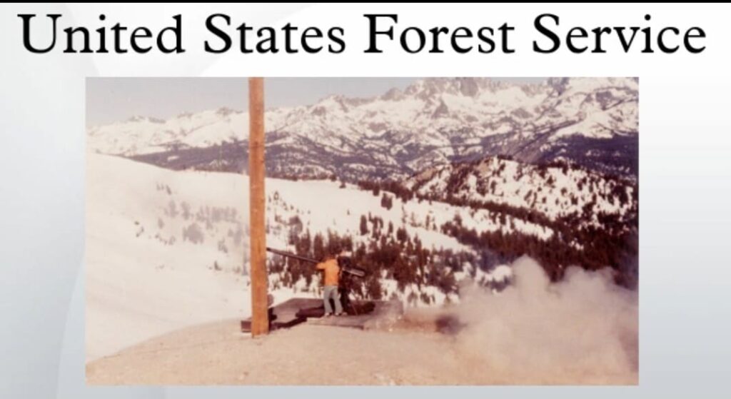 Forestry Development Authority